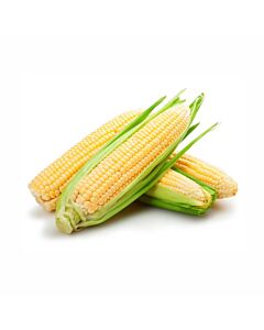 Corn  (ea)