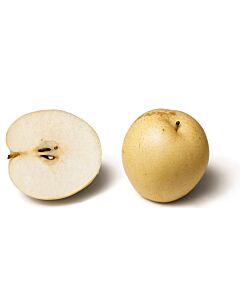 Pears - Nashi (500g)